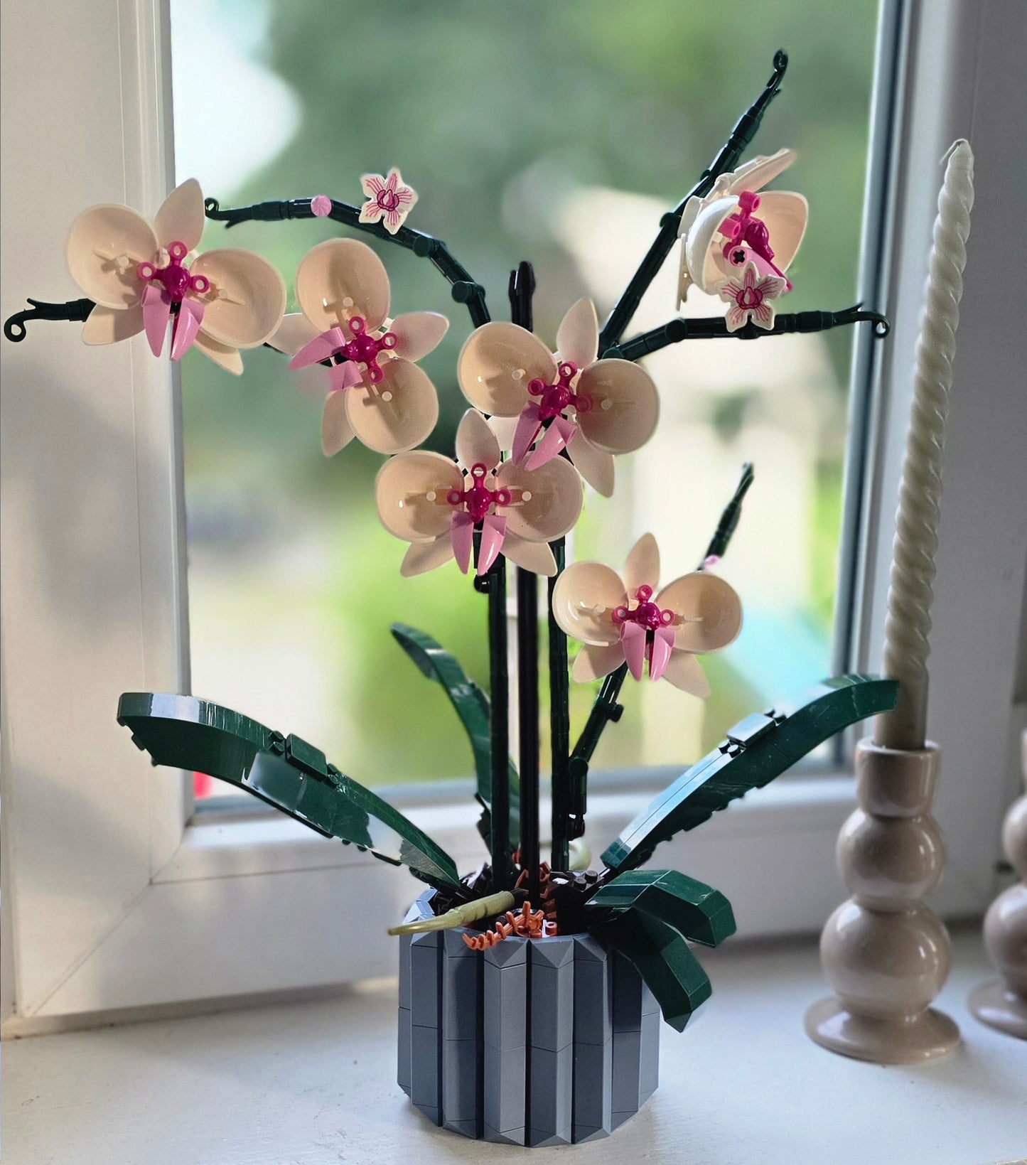 Bygg din egen eviga orkidé – blomman som aldrig vissnar